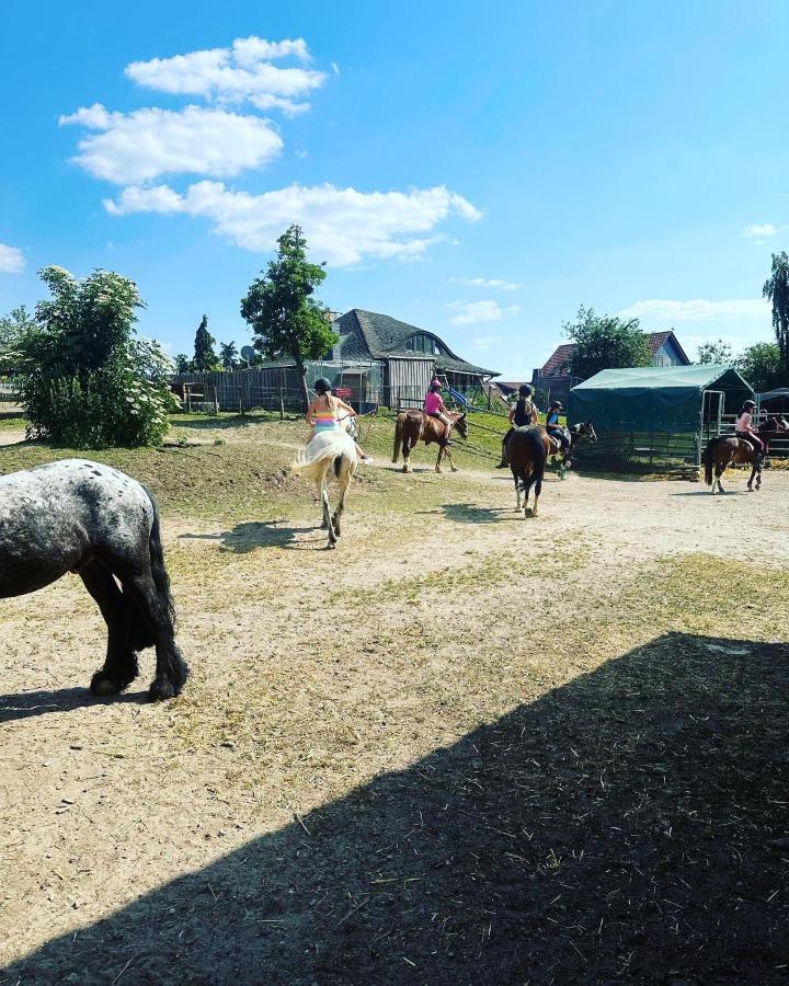Fewo Im Reit- Und Ponyparadies Roos Halle  Exterior foto