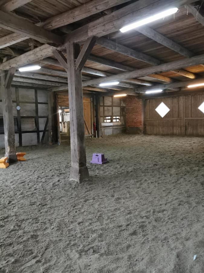 Fewo Im Reit- Und Ponyparadies Roos Halle  Exterior foto