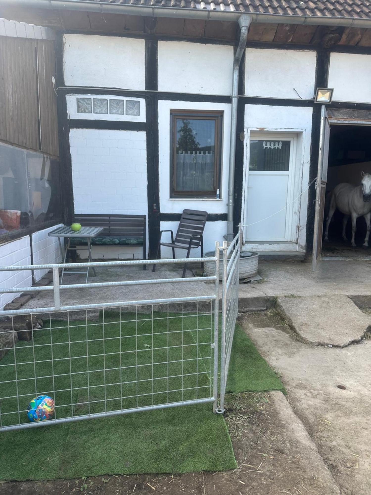 Fewo Im Reit- Und Ponyparadies Roos Halle  Exterior foto