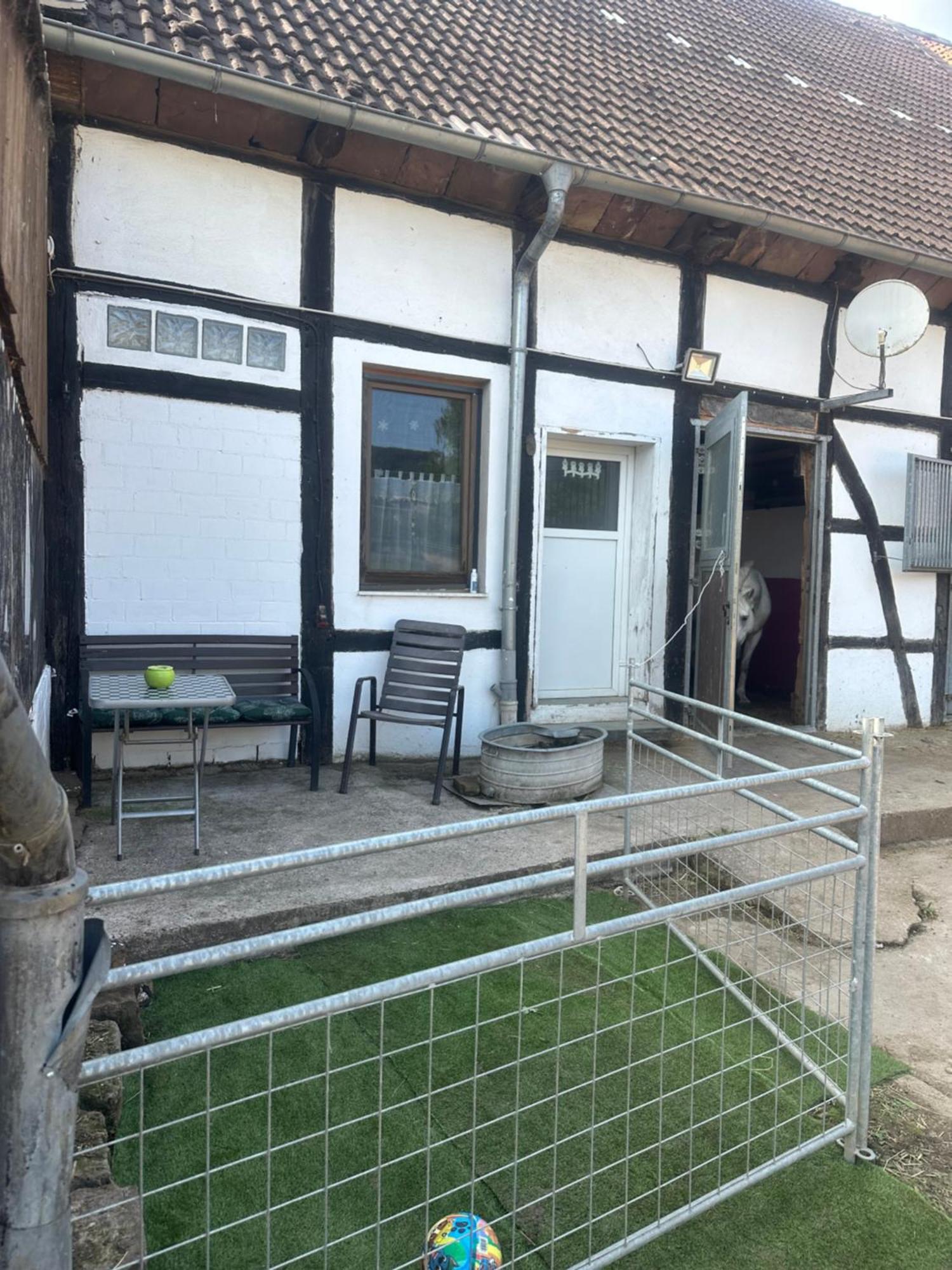 Fewo Im Reit- Und Ponyparadies Roos Halle  Exterior foto